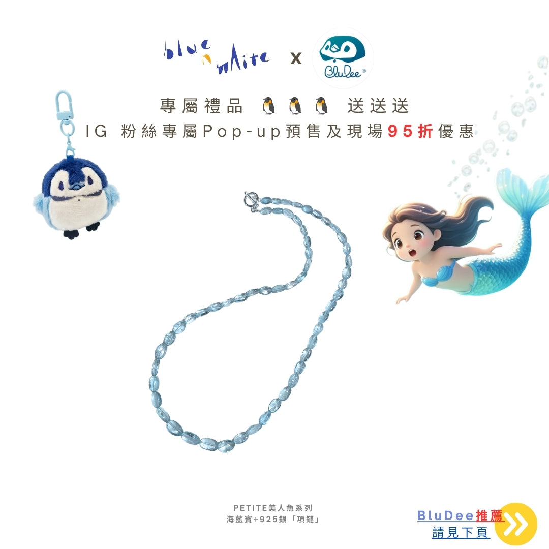 BlueNWhite_x_BluDee 聯承 "Silver Wave" 銀浪 Pop-up市集預售 送 BlueDee 吊飾 付款專用 🔗